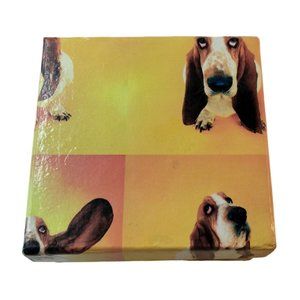 Basset Hound Jewelry Gift Box Yellow Orange